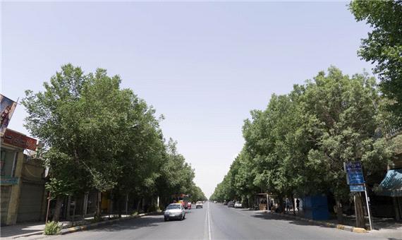 تخریب تاریخ به بهانه تمدن؛ بخشی از هویت یزد با ایجاد اولین خیابان از بین رفت
