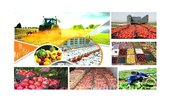 نمایشگاه محصولات کشاورزی و گلخانه ای در یزد برگزار می شود