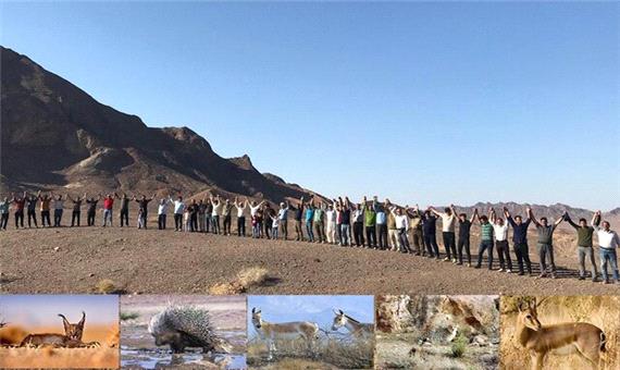 تنها پارک ملی یزد در حصار زنجیره انسانی حامیان محیط زیست