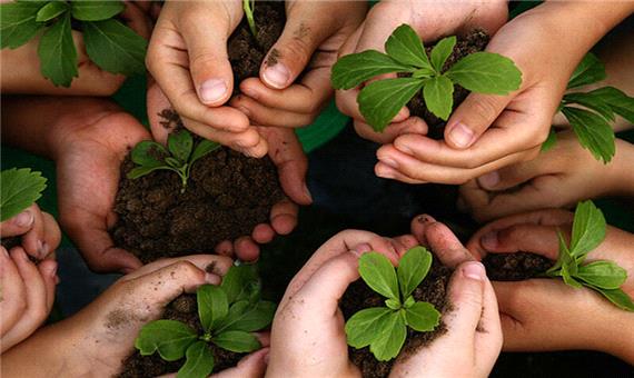 صندوق حمایت توسعه بخش کشاورزی بافق آغاز به کار کرد