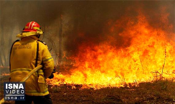 158 مورد آتش‌سوزی‌ عمدی در یزد طی 6 ماه