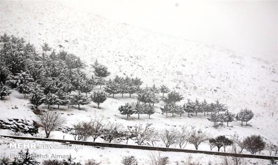 برف پاییزی روستاهای بافق را سفیدپوش کرد/راه‌ها باز است