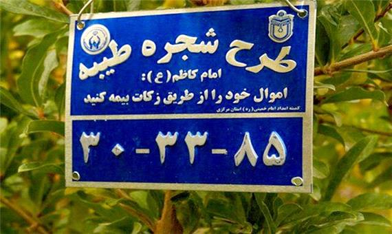 پلاک‌گذاری 5000 درخت در استان یزد برای محرومان