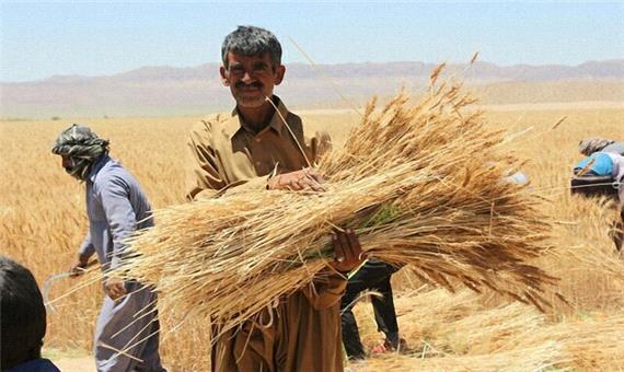 رشد 18 درصدی اعضای نظام صنفی کارهای کشاورزی استان یزد