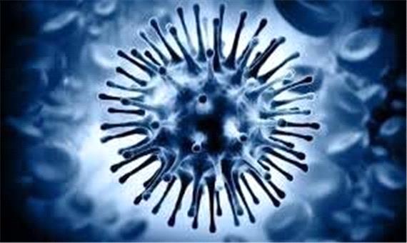 خوکی، مرغی یا انسانی...آنفلوآنزا را جدی بگیرید!