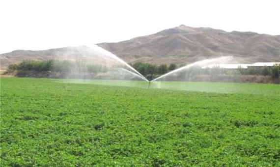 اجرای سامانه نوین آبیاری در 27 هزار هکتار زمین های کشاورزی یزد