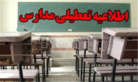 مدارس استان تهران تا آخر هفته تعطیل شد