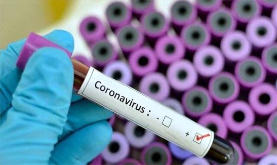 ویروس کرونا چیست و چقدر ماندگار است؟