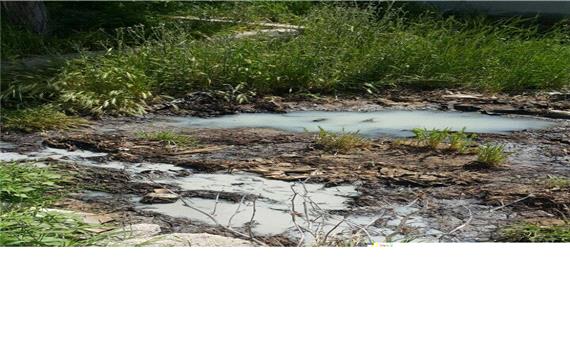 صدور 24 اخطار محیط زیستی برای واحدهای صنعتی شهرستان قزوین