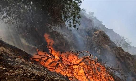 یک دهم از اراضی منطقه حفاظت شده خائیز در آتش سوخت