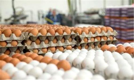 قیمت هر شانه تخم‌ مرغ به 28 هزار تومان رسید