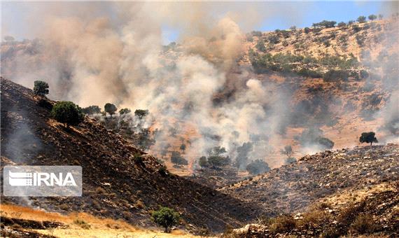 گرما و خشکی مراتع احتمال آتش سوزی عرصه‌های طبیعی یزد را افزایش می‌دهد