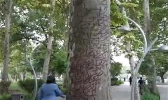 ماجرای طلسم درختان پارک لاله تهران چه بود؟