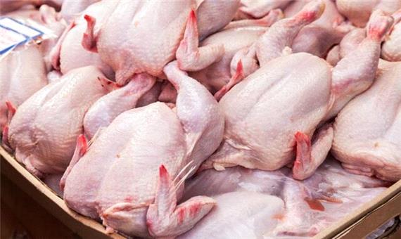 گوشت مرغ 3000 تومان ارزان‌تر شود
