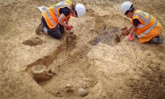 راه‌اندازی رشته باستان‌شناسی در یزد برای اولین بار در جنوب شرق کشور
