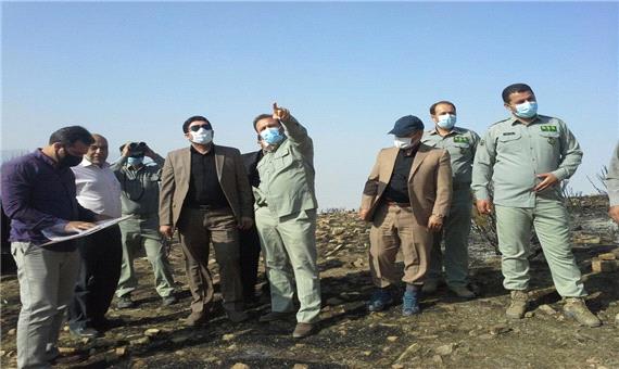دادستان قزوین به آتش سوزی 800 هکتاری منطقه لات الموت غربی ورود پیدا کرد