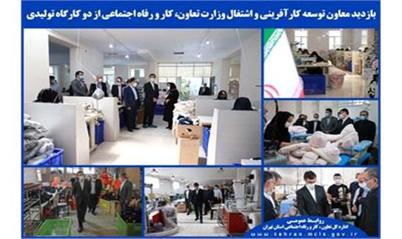 معاون اشتغال وزارت کار از دو واحد تولیدی استان تهران بازدید کرد