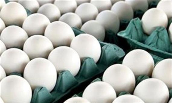 تخم‌ مرغ ارزان چه زمان به بازار می‌ آید؟