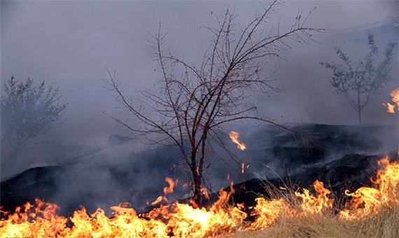 سیلی آتش بر چهره بیش از 253 هکتار از مراتع یزد
