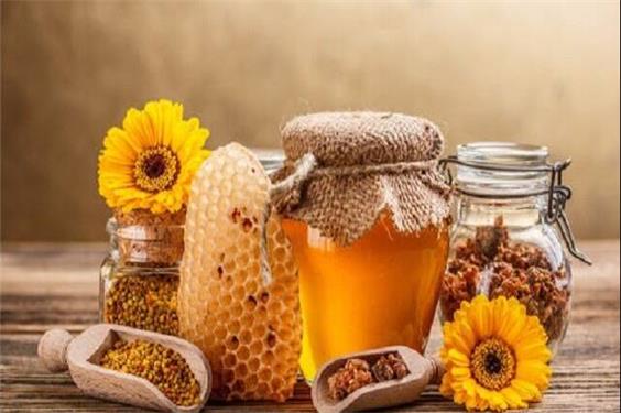 از شهد گل تا معجزه درمانی؛ نگاهی علمی به ترکیبات عسل