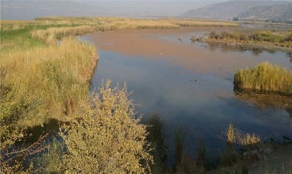 تالاب زریوار بهشت پرندگان و از امن‌ترین زیستگاه‌ها است/مجوز شکار پرندگان آبزی در کردستان صادر نمی‌شود
