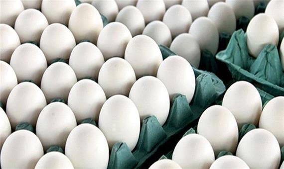 تشکیل 18 پرونده گران‌فروشی تخم‌مرغ در ابرکوه