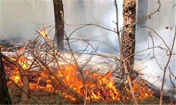 بازداشت آتش‌افروزِ جنگل‌های گرگان