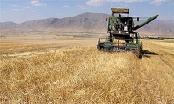 بهره برداری از 66 پروژه بخش کشاورزی در یزد