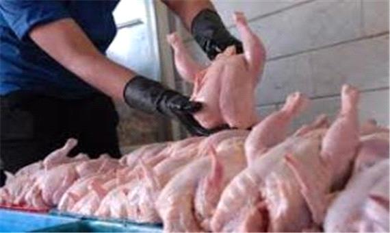 وعده سازمان حمایت برای کاهش قیمت مرغ