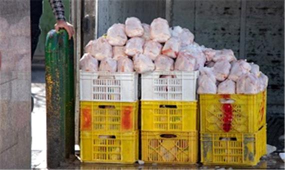 20 دلال مرغ در تهران دستگیر شدند