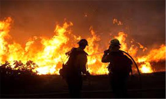آتش‌سوزی در محل دپوی ضایعات درختان پارک آهنشهر بافق