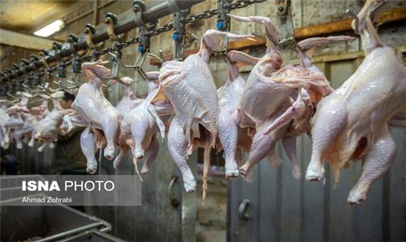 تشکیل حدود 7 میلیارد تومان پرونده‌ تخلفاتی برای واحدهای کشتار و توزیع مرغ در یزد