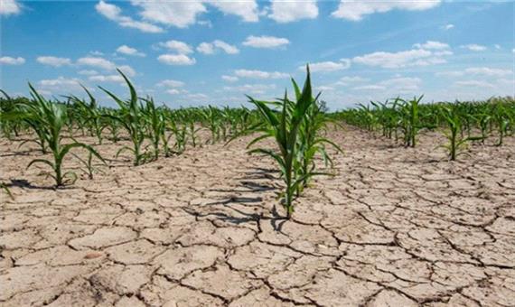 خطر نابودی تمامی پهنه های کشاورزی یزد به علت کاهش آب تخصیص یافته