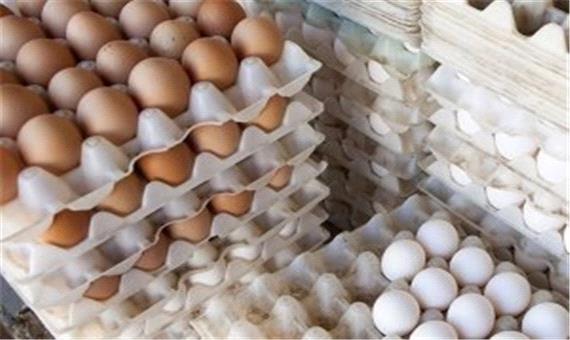 تخم مرغ گران می‌ شود؟