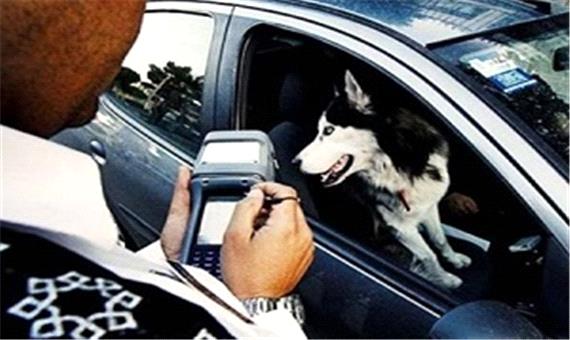 نظر پلیس درباره سگ گردانی و موتورسواری زنان