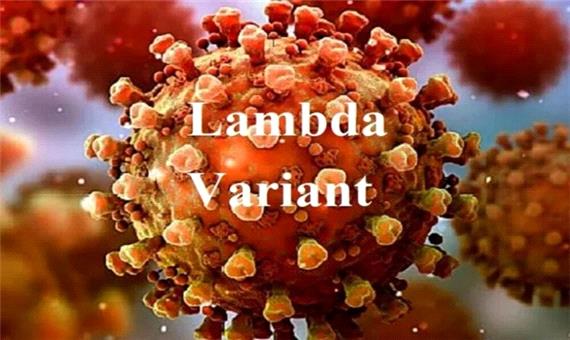 معاون دانشگاه علوم پزشکی: از شیوع ویروس لامبدا در یزد پیشگیری شود