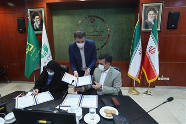 دکتر خزعلی: باید به هر دو جنبه تاثیرپذیری و تاثیرگذاری زنان در تغییرات اقلیمی توجه ویژه شود
