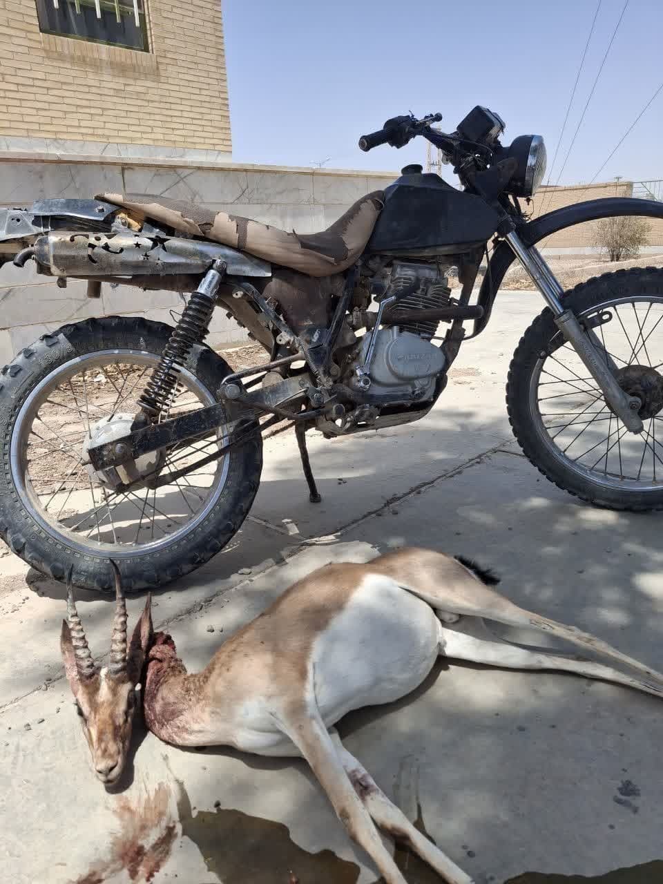 خبر یزد