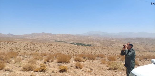 جدیت دستگاه قضا برای برخورد با متخلفین شکار و صید در یزد