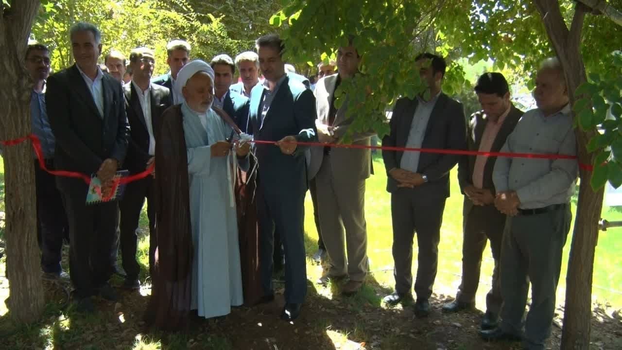 خبر یزد