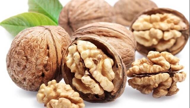 تقویت توان آنتی‌اکسیدانی بدن با «روغن گردو + تمرینات مقاومتی»