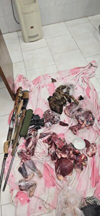 دستگیری باند شکارچیان غیرمجاز در بهاباد