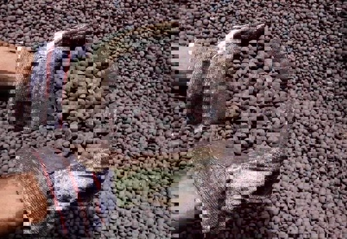 مجتمع گندله‌سازی بهاباد با ظرفیت ۳.۴ میلیون تن افتتاح شد