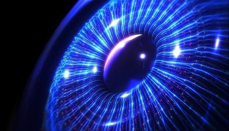 حلزونی که چشم خود را بازسازی می‌کند؛ امیدی تازه برای ترمیم بینایی انسان