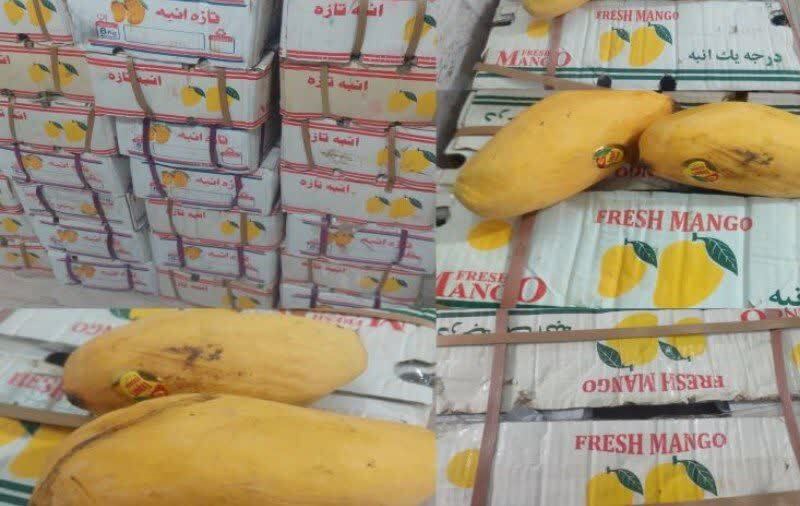 کشف انبه قاچاق در بازرسی از اتوبوس