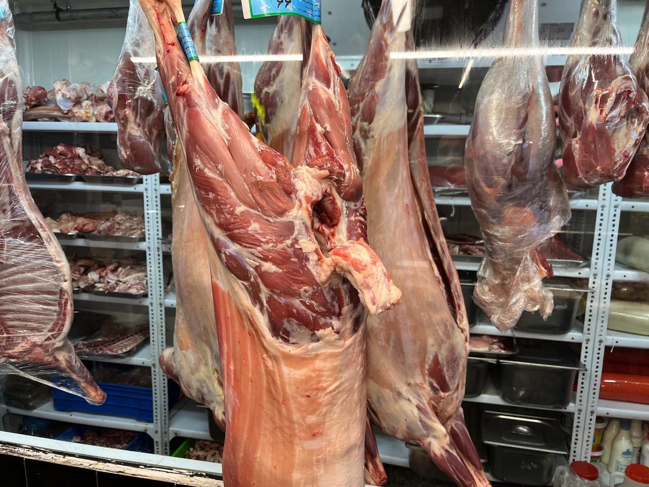 جلوگیری از ورود گوشت دام مبتلای سل به بازار مصرف در اشکذر