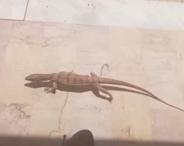 خبر یزد