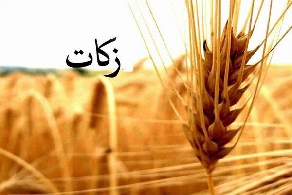 ابراهیمی: ترویج فرهنگ زکات در بهاباد به یک رسالت دینی تبدیل شود