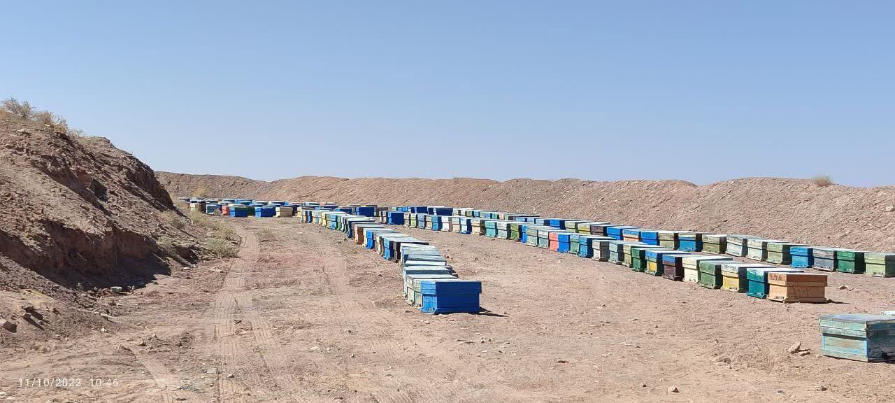 هم‌افزایی برای توسعه زنبورداری تفت