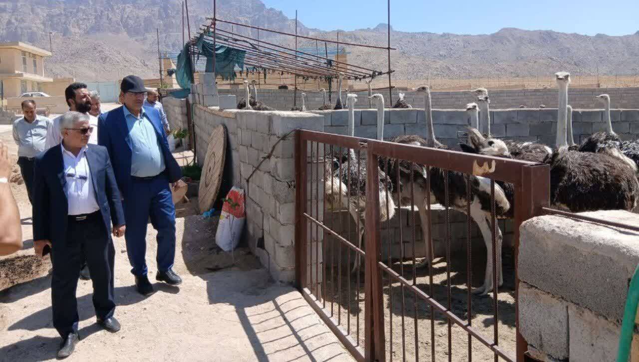 خبر یزد